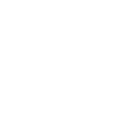 DigiSku logo