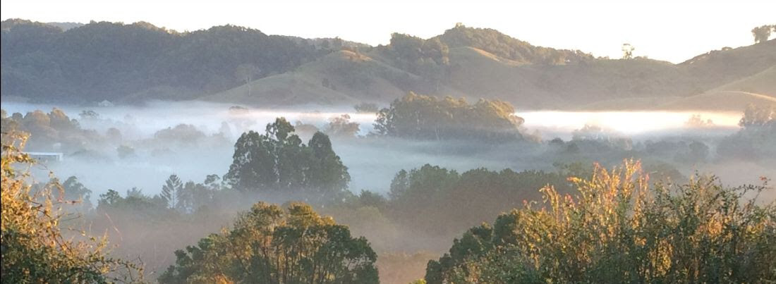 Morning mist settling over the green Kin Kin hills